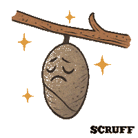 Gay Pride Sticker by SCRUFF