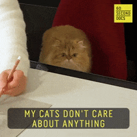 Over It Reaction GIF by 60 Second Docs