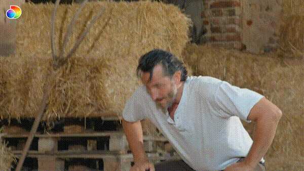 Boss Italia GIF by discovery+
