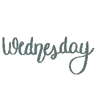 hayleykaye wednesday week day day of week hayleykaye Sticker