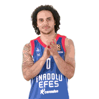 Sport Basketball Sticker by Anadolu Efes SK