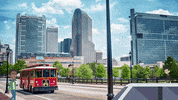 Census Censo GIF by Mecklenburg County