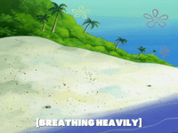 season 6 GIF by SpongeBob SquarePants