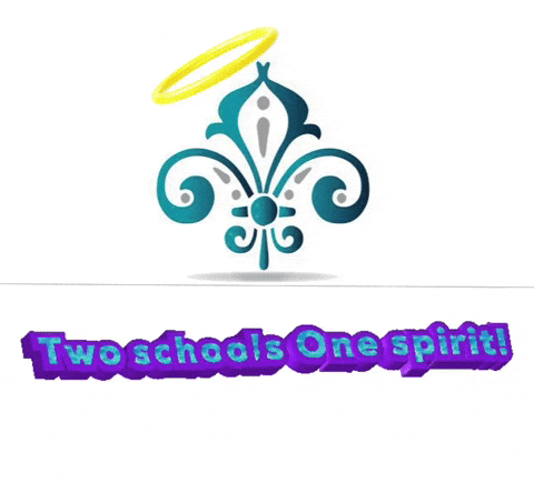 Two Schools One Spirit GIF by Academy of Our Lady of Peace