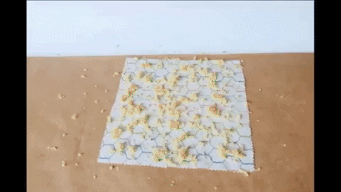 rohepak1 giphygifmaker GIF