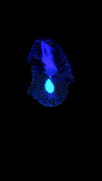 Art Glowing GIF by time