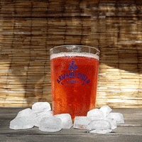 ArmadaCider cider armadacider1588 armada cider armada cider 1588 GIF