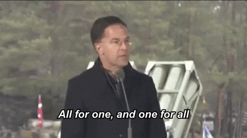 Strongertogether Otan GIF by NATO