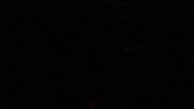 rccoworldex esports race simracing rftc GIF