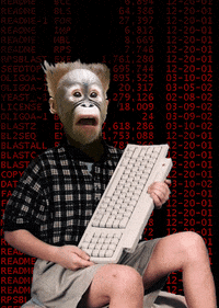 Animation Monkey GIF by weinventyou
