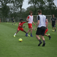 fcmidtjylland duncan fcm scholz midtjylland GIF