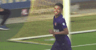 fcmidtjylland brazil superliga fcm brondby GIF