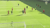 Brazil Skill GIF by FC Midtjylland