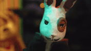 the itching GIF by Vimeo