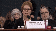 news impeachment impeachment inquiry impeachment hearings day two marie yovanovitch GIF