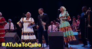 film concert GIF by Blue Fox Entertainment
