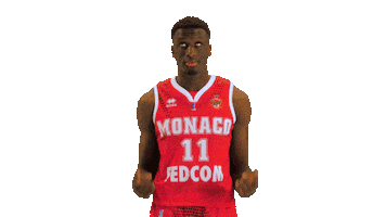 Jeep Elite Basketball Sticker by lnb_officiel