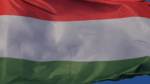 klubradio giphyupload klubrádió GIF