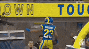 National Football League GIF by NFL