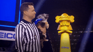 Congratulations Team Fluff