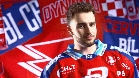 Frantisek GIF by HC Dynamo Pardubice
