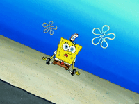 season 5 GIF by SpongeBob SquarePants