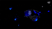 GIF by Italia's Got Talent