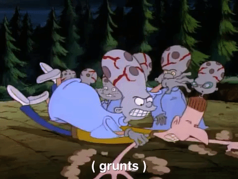 hey arnold nicksplat GIF