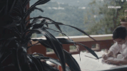 viceland GIF by Hamilton's Pharmacopeia