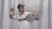Collegebaseball Ncaadii GIF by RiverHawk Sports