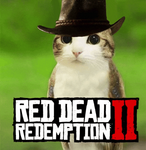Arthur Morgan Rdr2 GIF