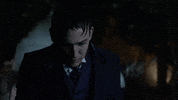mad city fox GIF by Gotham