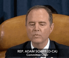 news adam schiff tim morrison GIF