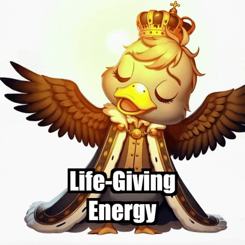 Sun GIF by sirduckbeth