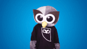 Happy Joy GIF by Hootsuite