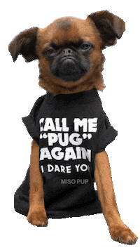 Brussels Griffon Dog Sticker by MISO PUP