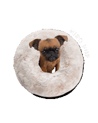 Brussels Griffon Dog Sticker by MISO PUP