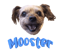 Dog Sticker