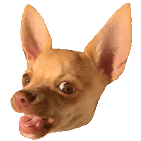 Frustrated Dog Sticker
