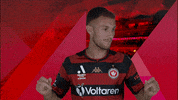 Western Sydney Wanderers Dancing GIF by wswanderersfc