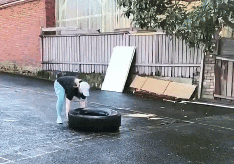 GIF by BarBend