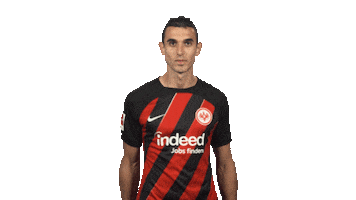 Celebrate Eintracht Frankfurt Sticker by Bundesliga