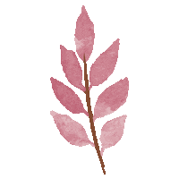 leituraseeu retro vintage flor planta Sticker