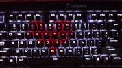 GIF by Wirecutter