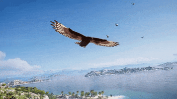 Eagle Flying GIF by Assassin's Creed
