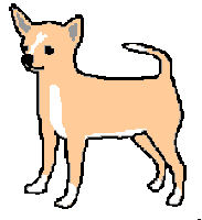 chihuahua STICKER