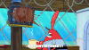 season 9 safe deposit krabs GIF by SpongeBob SquarePants