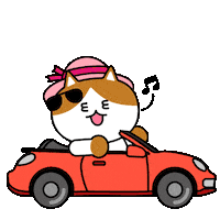 Cat Kitty Sticker by 궁디팡팡 캣페스타