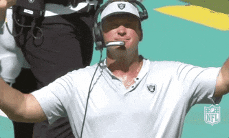 2018 Nfl Football GIF by NFL