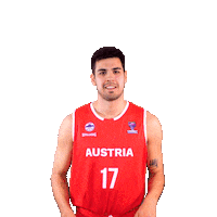 Fiba Teamaustria Sticker by Basketball Superliga